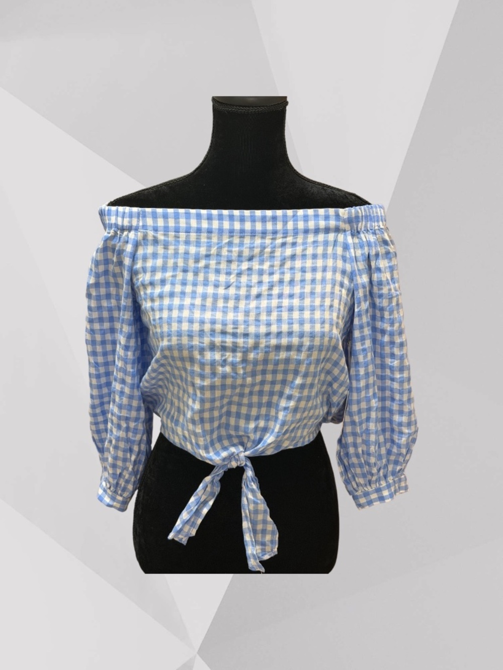 FOREVER 21 Long Sleeves Elasticized Off Shoulder Crop Top Blue/White Checks NWT